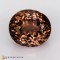 tourmaline  5.24cts - 11x10mm