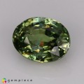Natural Demantoid garnet 0.89 Carats Green Oval 6x8 mm Loose Gemstone - Image 3