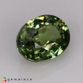 Natural Demantoid garnet 0.89 Carats Green Oval 6x8 mm Loose Gemstone - Image 6