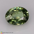 Natural Demantoid garnet 0.89 Carats Green Oval 6x8 mm Loose Gemstone - Image 7