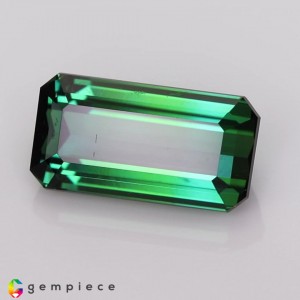tourmaline  2.71cts - 11x6mm tourmaline  2.71cts - 11x6mm