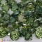 apatite  55.06cts - Mixed Lot