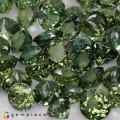 Natural Apatite 55.06 Carats Hunter Green Round Mixed Lot Loose Gemstone - Image 2