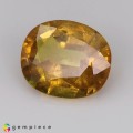 Natural Sapphire 2.10 Carats Golden Yellow Oval 9x7 mm Loose Gemstone - Image 2