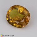 Natural Sapphire 2.10 Carats Golden Yellow Oval 9x7 mm Loose Gemstone - Image 3