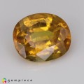 Natural Sapphire 2.10 Carats Golden Yellow Oval 9x7 mm Loose Gemstone - Image 1