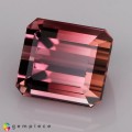 Natural Tourmaline 1.54 Carats Pink to Champagne Emerald Cut 7x6 mm Loose Gemstone - Image 2