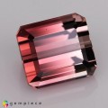 Natural Tourmaline 1.54 Carats Pink to Champagne Emerald Cut 7x6 mm Loose Gemstone - Image 7