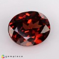 Natural Zircon 5.18 Carats Orange Red Oval 11x9 mm Loose Gemstone - Image 6
