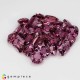 Showing image for malaya garnet malaya garnet Malaya Garnet image
