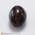 Natural Apatite cats eye 14.27 Carats Honey Brown Oval Cabochon 15x11 mm Loose Gemstone - Image 2