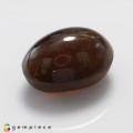 Natural Apatite cats eye 14.27 Carats Honey Brown Oval Cabochon 15x11 mm Loose Gemstone - Image 6