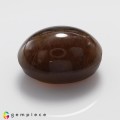 Natural Apatite cats eye 14.27 Carats Honey Brown Oval Cabochon 15x11 mm Loose Gemstone - Image 7
