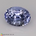 Natural Sapphire 2.38 Carats Light Blue Oval 8x6 mm Loose Gemstone - Image 2