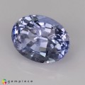 Natural Sapphire 2.38 Carats Light Blue Oval 8x6 mm Loose Gemstone - Image 3