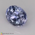 Natural Sapphire 2.38 Carats Light Blue Oval 8x6 mm Loose Gemstone - Image 4
