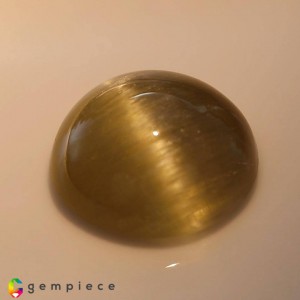 danburite cats eye  16.45cts - 17x8mm