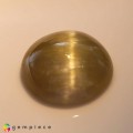 Natural Danburite cats eye 16.45 Carats Pastel Yellow Round Cabochon 17x8 mm Loose Gemstone - Image 4