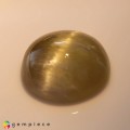 Natural Danburite cats eye 16.45 Carats Pastel Yellow Round Cabochon 17x8 mm Loose Gemstone - Image 5