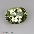 Natural Amblygonite 1.24 Carats Yellowish Green Oval 8x6 mm Loose Gemstone - Image 1