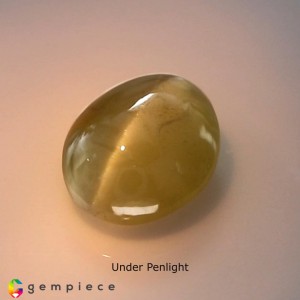 chrysoberyl cats eye  1.23cts - 7x6mm