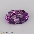 Natural Sapphire 1.03 Carats Sweet Purple Oval 7x5 mm Loose Gemstone - Image 7