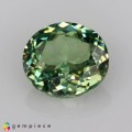 Natural Demantoid garnet 0.55 Carats Green Oval 5x4 mm Loose Gemstone - Image 1