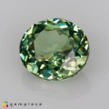Natural Demantoid garnet 0.55 Carats Green Oval 5x4 mm Loose Gemstone - Image 2