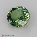 Natural Demantoid garnet 0.55 Carats Green Oval 5x4 mm Loose Gemstone - Image 3