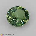 Natural Demantoid garnet 0.55 Carats Green Oval 5x4 mm Loose Gemstone - Image 6