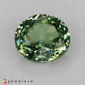 Natural Demantoid garnet 0.55 Carats Green Oval 5x4 mm Loose Gemstone - Image 7