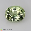 Natural Montebrasite 1.94 Carats Greenish Yellow Oval 9x7 mm Loose Gemstone - Image 1