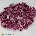 Natural Malaya garnet 31.28 Carats Sweet Purplish Pink Mixed Mixed Lot Loose Gemstone - Image 3