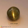 Natural Chrysoberyl cats eye 1.08 Carats Yellowish Green Oval Cabochon 6x5 mm Loose Gemstone - Image 1