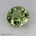 Natural Tourmaline 1.75 Carats Pastel Green Oval 8x7 mm Loose Gemstone - Image 2