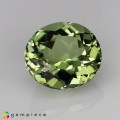 Natural Tourmaline 1.75 Carats Pastel Green Oval 8x7 mm Loose Gemstone - Image 6