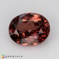 Natural Zircon 3.90 Carats Imperial Pink Oval 10x8 mm Loose Gemstone - Image 7