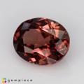 Natural Zircon 3.90 Carats Imperial Pink Oval 10x8 mm Loose Gemstone - Image 2