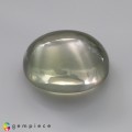 Natural Moonstone 15.56 Carats Moss Green Oval Cabochon 17x14 mm Loose Gemstone - Image 1