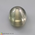 Natural Moonstone 15.56 Carats Moss Green Oval Cabochon 17x14 mm Loose Gemstone - Image 2