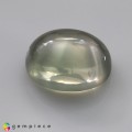 Natural Moonstone 15.56 Carats Moss Green Oval Cabochon 17x14 mm Loose Gemstone - Image 4