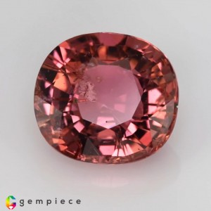 tourmaline  10.59cts - 14x13mm