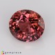tourmaline Pink Tourmaline image