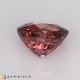 tourmaline Pink Tourmaline image