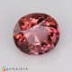 tourmaline Pink Tourmaline image