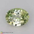 Natural Amblygonite 1.32 Carats Yellowish Green Oval 8x6 mm Loose Gemstone - Image 1