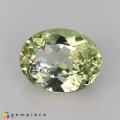 Natural Amblygonite 1.32 Carats Yellowish Green Oval 8x6 mm Loose Gemstone - Image 2