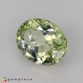 Natural Amblygonite 1.32 Carats Yellowish Green Oval 8x6 mm Loose Gemstone - Image 3