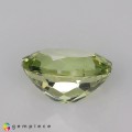 Natural Amblygonite 1.32 Carats Yellowish Green Oval 8x6 mm Loose Gemstone - Image 4