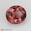 Natural Tourmaline 2.80 Carats Sweet Pink Oval 9x8 mm Loose Gemstone - Image 7